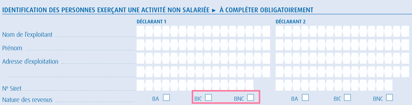 Case BNC ou BIC à cocher dans le formulaire 2042 C Pro