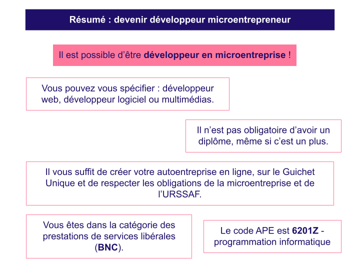 Résumé : devenir développeur microentrepreneur