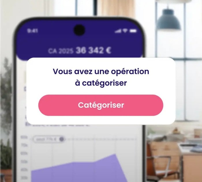 audit microentreprise